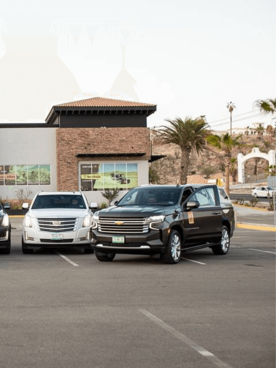 Empresa de transporte privado en Los Cabos con estrategia de marketing digital